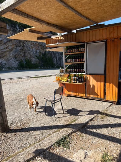 A brown and white dog lies on a gravel surface next to a metal folding chair in front of a small roadside stand. The stand appears to be constructed from an orange shipping container, with one side open to display bottles of liquid, possibly drinks or preserves, arranged on shelves. Above the display, a white board is mounted. A table with a patterned tablecloth is partially visible behind the chair. The scene is outdoors, with rocky terrain and vegetation visible on a steep slope to the left, and a paved road running in the background. Shadows suggest it is daytime, likely mid-morning or afternoon, with sunny weather. A wooden structure is partially visible in the foreground, and another wooden structure, possibly an awning, extends over the stand. The overall setting evokes a casual, roadside rest stop or small business in a mountainous or hilly area.