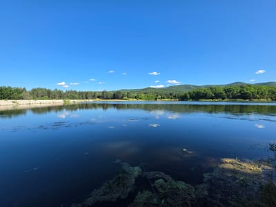 The image depicts a serene lake scene on a clear day in Osetenovo, Bulgaria. The foreground is dominated by the dark blue water, with a few submerged rocks and some aquatic vegetation visible near the right edge. A fishing rod extends into the water from the lower right quadrant of the frame. The middle ground features the calm surface of the lake reflecting the sky and the tree-lined shore. The shore itself is lined with a dense forest of green trees, extending to the horizon. Behind the trees, rolling green hills rise, covered in more forest. The sky is a vibrant, cloudless blue, with a few small white clouds scattered across it. The overall atmosphere is one of tranquility and natural beauty.