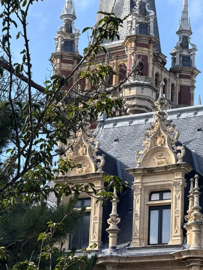 The image displays an ornate, historic building viewed from a low angle, partially obscured by trees and foliage, under a clear blue sky. The building, likely a grand edifice, showcases eclectic architecture with a blend of materials and decorative styles.
Key architectural features include dark grey, possibly slate, tiled roofs with visible dormers, sections of red brick, and extensive use of light-colored stone or render. Tall, slender spires, crowned with decorative finials, rise prominently against the sky. The stonework is intricately carved with sculptural details, balustrades, and elaborate motifs. One notable decorative element on the roofline is a large, scrolled cartouche-like structure, featuring an emblem that appears to include a stylized animal figure and a symbol or letter on a shield. A window with a dark frame is set within a richly decorated stone surround, flanked by pilasters.
In the foreground, various trees and branches partially frame the building. There are branches with lush green leaves, suggesting spring or summer, intertwined with some bare, twiggy branches. Dark green pine needles are also visible towards the lower right.
The scene is brightly lit by natural sunlight, indicating a clear, sunny day, likely during midday or early afternoon. No human activity or individuals are depicted. There is no legible text visible within the image. The overall impression is one of historical grandeur and intricate craftsmanship, with the foliage providing a natural frame to the architectural subject.