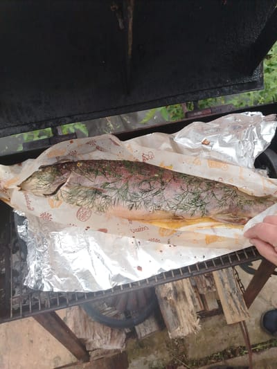 A whole raw trout, seasoned with dill and sprinkled with salt, lies on a piece of patterned parchment paper on a metal grill. The trout is wrapped in foil. A hand is visible on the right side of the frame, adjusting the parchment. The grill appears to be outdoors, with greenery in the background. The image was taken from above, looking down at the grill.