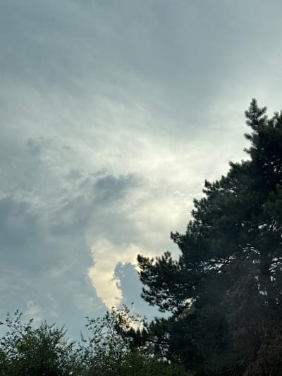 The image depicts a cloudy sky with patches of sunlight breaking through. In the foreground, the tops of dark green coniferous trees and some deciduous trees are visible. The overall atmosphere suggests an overcast day with some potential for clearing. The image was taken in the city of Brashlen, Bulgaria. There are no people or specific objects of interest other than the natural elements.