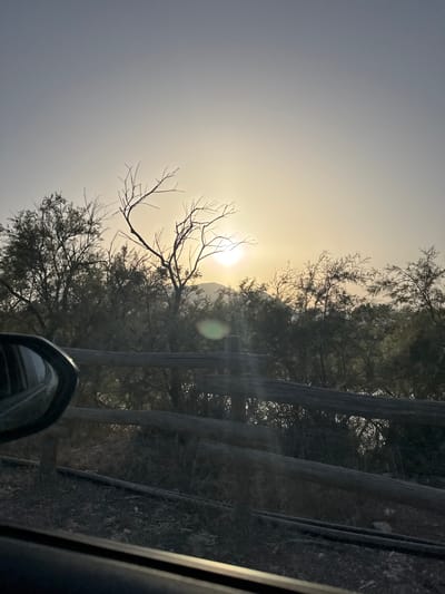 The image captures a hazy sunset over a natural landscape, possibly in or near Orosei, Italy. The sun is partially obscured by a thin layer of atmospheric haze and is positioned in the upper left quadrant of the frame, casting a soft, yellowish glow. Silhouetted trees with bare branches dominate the mid-ground, some appearing thorny or scrub-like, with denser foliage visible behind them. A rustic wooden fence, constructed from thick, weathered logs, runs horizontally across the lower half of the image. The foreground shows a portion of a car's interior, with the driver's side mirror visible on the left, reflecting the hazy sky. The ground beneath the fence appears dry and covered in sparse vegetation and scattered debris. The overall atmosphere is subdued and serene, characteristic of a quiet evening in a rural or semi-natural setting.