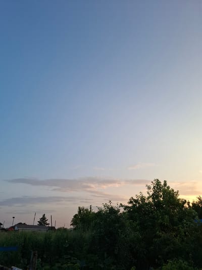 This is a vertical, eye-level, outdoor photograph taken during the daytime, likely in the late afternoon or early evening due to the soft, diffused light and pastel colors in the sky. The scene depicts a rural or semi-rural landscape in Kazakhstan, near the town of Bulayevo.
The dominant feature of the image is the vast expanse of a pale blue sky, which gradually transitions to lighter shades and hints of pink and orange near the horizon, suggesting the presence of clouds catching the sunset light. On the right side of the frame, a dense line of lush green trees and vegetation forms a natural border, obscuring much of the ground and any buildings behind it. A few glimpses of structures can be seen through the foliage, including what appears to be the roof of a building with a dark, tiled surface, and the silhouettes of utility poles and wires. A lone, dark-green tree stands more prominently in the middle ground, also silhouetted against the sky. The overall impression is one of tranquility and natural beauty. There is no visible text in the image.