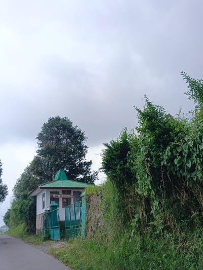 The image captures a small, single-story building located in Uato Carabar, Timor-Leste, situated next to an asphalt road under an overcast sky. The building features white painted walls on its upper section, a natural stone or concrete base, and a multi-faceted green corrugated metal roof. A wooden sign with the inscription "KEBUN CENGKEH" is mounted above a window displaying horizontal wooden panels. An open, green metal gate, composed of vertical bars and a solid lower panel, provides entry to the property from the road. To the right of the gate, a stone wall, heavily overgrown with vines and tall grass, extends into the foreground. Dense green vegetation, including tall trees and bushes, surrounds the building and lines the road. No individuals are present in the scene.