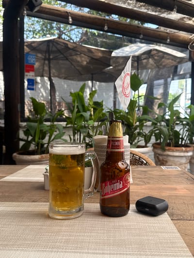 A horizontal, eye-level shot shows a beer bottle and a mug of beer on a textured white placemat on a brown wooden table. The beer bottle, labeled "Bohemia Pilsner," lies next to the beer mug. Behind the drinks, a green potted plant adds depth. A small white flag with red lettering is planted near the bottle. A black electronic device rests on the table near the placemat's edge. The background reveals a sunlit outdoor setting, possibly a patio, enclosed by glass and wood framing. Credit card stickers are visible on the bottom left corner of the glass. The location is likely a restaurant or bar in Zapopan, Mexico.