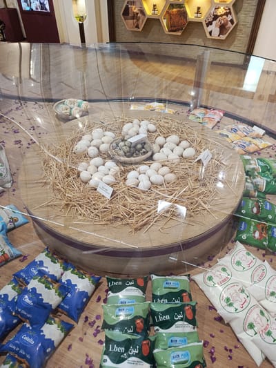 This indoor display, located in Al Machouar – Stinia, Morocco, showcases a variety of natural and dairy products, likely in a market, store, or exhibition setting. The central feature is a large, circular wooden platform, covered with a bed of hay and enclosed by a clear, curved plexiglass barrier.
The hay serves as a nest for numerous eggs of different types and sizes. Large white and beige eggs are present, with a label indicating "œufs de poule fermière" (farm chicken eggs). Larger, more speckled eggs are also visible, identified by a label as "œufs de dinde" (turkey eggs). A small woven basket within the hay contains numerous tiny, speckled quail eggs.
Surrounding the central egg display, various packaged dairy products are arranged, also behind the protective barrier. These include pouches of "Colaito" brand milk, labeled with "حليب مختار من واحتنا" (milk chosen from our oasis). Green and white pouches of fermented milk, or "Lben لبن," are prominent, with brands like "RICH MILK" and "COOPERATIVE HALIB ZIZ ERRACHIDIA" ("تعاونية حليب زيز الرشيدية"). Many of these products display an "Autorisation Sanitaire ONSSA N° LPL.18.1.21" stamp. "Colaito Yogurt" pouches are also visible. Small, purple dried flower petals are scattered decoratively across the display surface.
In the background, hexagonal wooden shelves on a textured wall display honeycombs and jars of honey, suggesting a broader theme of natural or farm-to-table products. A screen showing images is visible in the upper left corner of the scene. The lighting indicates a well-lit interior environment.