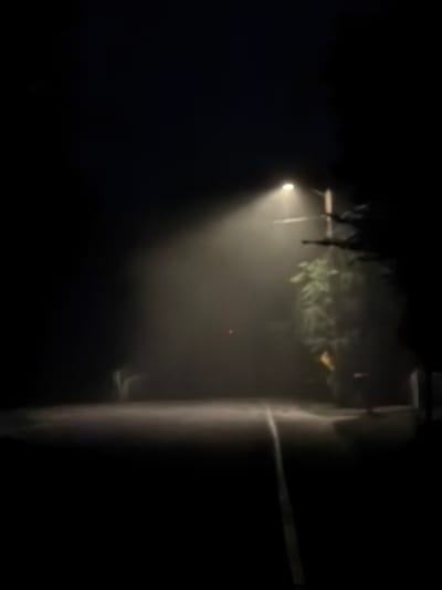 A solitary streetlamp illuminates a foggy, dark road in Hampton Bays, United States of America. The light casts a hazy glow on the wet pavement, creating an ethereal and somewhat eerie atmosphere. Dense fog obscures much of the surroundings, reducing visibility and adding to the sense of isolation. On the right side of the road, a dark silhouette of trees can be seen, their branches reaching into the mist. A faint yellow sign is visible in the fog near the streetlamp. The road appears to be a two-lane asphalt surface, with a white line marking the center. The overall scene conveys a sense of quiet solitude, typical of a foggy night in a suburban or rural setting.