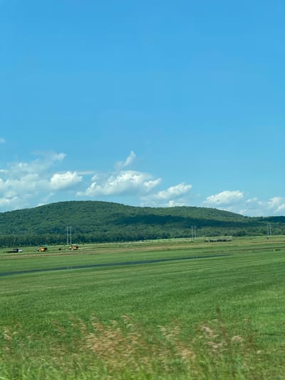 The image depicts a wide, rural landscape under a bright blue sky with scattered white clouds. In the foreground, a vast, vibrant green field stretches horizontally across the frame, with rows of mown grass or crops evident. The midground shows a flatter area of land with some dark, wet-looking patches and what appear to be construction or agricultural vehicles, including yellow excavators and a white truck. Power lines supported by tall poles run across this area. In the background, a densely forested, green hill rises, its contours softened by distance and foliage. The overall scene conveys a sense of open space and agricultural activity. No people are visible. The location is not identifiable as Saint-André-Avellin, Canada, from the image alone.
