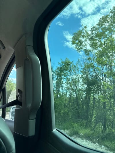 The image shows a view from inside a car, looking up through an open sunroof. The sky is visible with white clouds, interspersed with tree branches and foliage overhead. The interior of the car is visible, including the sunroof frame, a grab handle, a seatbelt, and a portion of the steering wheel. The location is not identifiable as Levski, Bulgaria, based on the provided information.