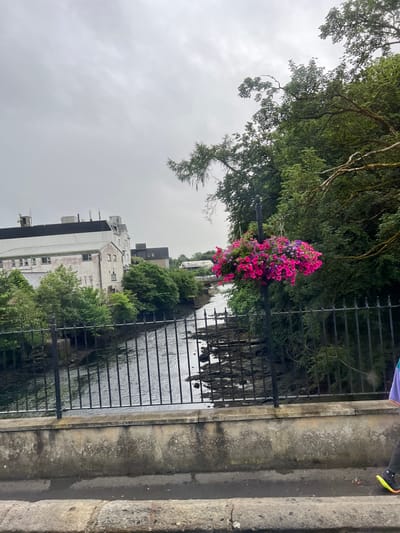 This image depicts a view of the River Eske in Donegal Town, Ireland, on a cloudy day. In the foreground, a weathered stone wall and a black metal fence run horizontally across the frame. Beyond the fence, the river flows, with rocky banks visible on the right side. On the left bank, several buildings are present, including a large, multi-story white and grey structure with a dark roof, likely an industrial or commercial building, and a smaller, darker building behind it. Lush green trees line the riverbanks and the area behind the buildings. In the mid-ground, a hanging basket overflowing with bright pink and purple flowers is suspended from a black pole in front of the fence. The sky is overcast and grey, contributing to the muted lighting of the scene. A person's legs and feet are visible in the lower right corner, walking along a paved path. The person is wearing dark pants and bright yellow and black athletic shoes.