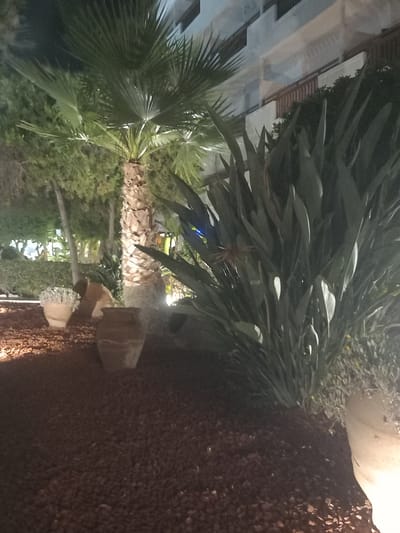 The image depicts an outdoor nighttime scene in Kos, Greece, likely a garden or patio area. A prominent palm tree stands in the center, its textured trunk illuminated from below. To the right of the palm tree, a large Bird of Paradise plant with long, broad leaves dominates the foreground, with a hint of its orange and blue flower visible. In the mid-ground, to the left of the palm tree, are two terracotta pots. The pot on the left contains white flowers or foliage. Behind these pots and to the left of the palm tree, a low hedge or dense foliage is visible. The ground is covered in dark, reddish-brown gravel or mulch. In the background, a multi-story building with balconies and railings is partially visible, illuminated by artificial lights, suggesting an urban or resort setting. The overall lighting is dim, typical of nighttime, with spotlights highlighting the plants.