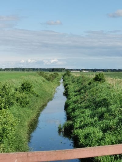 The image, taken in Anglininkai, Lithuania, presents an outdoor scene featuring a narrow water channel bisecting a flat, green agricultural landscape. A reddish-brown wooden railing occupies the immediate foreground, suggesting the vantage point is from a bridge. The water channel, appearing calm and reflecting the sky, extends from the bottom-center towards the distant horizon, narrowing in perspective. Its banks are heavily covered with lush green grass and interspersed shrubbery. On either side of the channel, expansive green fields, indicative of agricultural use, stretch towards a distant treeline that forms a dark horizontal band across the mid-ground. Above the treeline, the sky displays a mix of light blue and scattered white-grey clouds. Faint structures are observable in the far distance within the fields. No human figures or animals are present.