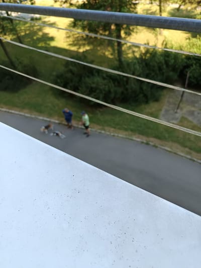 The image depicts a scene on a street in the city of Košice, Slovakia. In the middle ground, two individuals and two dogs are visible on an asphalt road. One person, wearing a blue shirt and a dark cap, stands near the edge of the road. Beside them, another person, dressed in a green shirt and dark shorts, is also present. Two dogs are on the road near the people; one appears to be a beagle, and the other is lying down. The background shows a grassy area with trees and what appears to be a sidewalk or pathway. A metal railing runs across the top of the frame, obscuring parts of the background. The foreground is dominated by a white, textured surface, possibly a balcony railing or ledge. The lighting suggests it is daytime, likely outdoors.