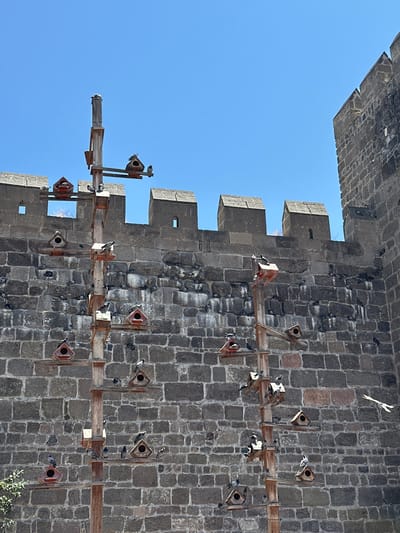 A stone wall, likely part of the Kayseri Castle in Kayseri, Turkey, forms the backdrop of this image. A tall wooden structure with multiple levels of birdhouses is mounted in front of the wall. Numerous pigeons are perched on and around the birdhouses, as well as on ledges and in crevices of the stone wall. The sky above is clear and blue. The scene appears to be a nesting area or sanctuary for pigeons, integrated into the historical architecture of the city.