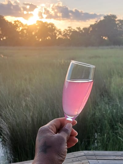 An eye-level, vertically-oriented photograph captures a hand holding a pink champagne flute against a backdrop of a marshy area at sunset. The hand, dark-skinned and showing visible knuckles, is positioned on the right side of the frame, clutching the stem of the glass. The flute contains a pink liquid with visible bubbles, indicating carbonation. In the background, dense marsh grass forms a green horizontal band. To the left, the setting sun casts a golden hue on the landscape, partially obscured by clouds, creating a blurred, dreamy effect. The location is possibly a marshy area in or near Nwanaeanoka, Botswana given the type of vegetation and context clues. A wooden structure is vaguely visible on the far right.