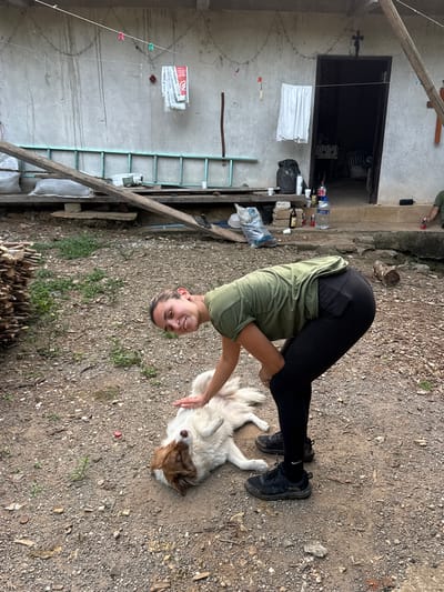 A woman in an olive-green shirt and black leggings is bent over, her head close to the ground, possibly petting a large, white and brown dog lying on its back. The woman is wearing black shoes. The location appears to be an outdoor area in Pinahuista, Mexico, with a mix of gravel and dirt ground cover. In the background, there's a weathered building with a door and some items cluttered nearby, including plastic bottles, a ladder, bags of material, and laundry hanging on a line. Piles of wood can be seen in the foreground.