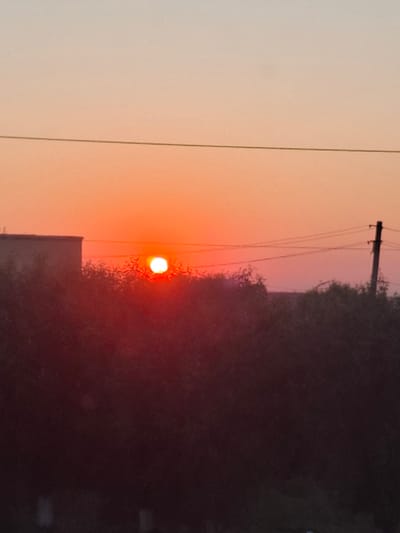 The image captures a sunset over a rural or semi-rural area. A bright orange sun is low on the horizon, casting a warm glow across the sky, which transitions from a pale orange near the horizon to a soft peach color higher up. Silhouetted against the sunset are dark masses of foliage, suggesting trees or bushes. To the left of the frame, a portion of a light-colored building, possibly a house or a low-rise structure, is visible. In the middle ground, power lines are strung between a telephone pole on the right and unseen points to the left. The pole is dark and stands out against the sky. The overall atmosphere is tranquil, with the setting sun creating a dramatic and colorful backdrop. The scene appears to be located in Булаев қалалық әкімдігі, Kazakhstan, based on the provided information.