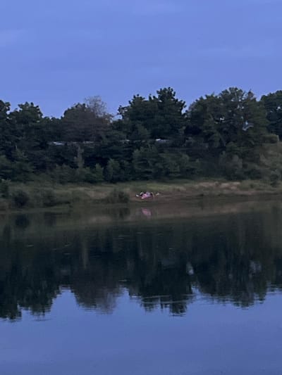 The image depicts a serene scene at dusk in Coșnița, Moldova, likely near a body of water. The sky is a deep, muted blue, indicating the twilight hour. On the left side of the frame, lush green trees line the edge of what appears to be a river or lake, their foliage dense and dark against the evening sky. The water on the right reflects the trees and the sky, creating a mirror-like effect that blurs the details but emphasizes the tranquility of the setting.

A small, indistinct figure, possibly a person, is visible in the middle ground on the grassy bank between the trees and the water. They are wearing light-colored clothing, possibly pink and white, and their posture suggests they might be sitting or lying down. There's a faint suggestion of pink objects near the figure, but their nature is unclear.

The overall mood of the image is peaceful and contemplative. The soft lighting and the stillness of the water contribute to a sense of calm. The natural beauty of the landscape, with its trees and reflective water, is the primary focus. No text is visible in the image.