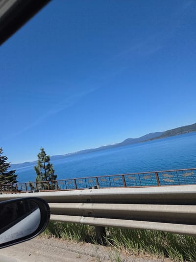 The image depicts a clear, sunny daytime scene observed from the passenger side of a vehicle in Incline Village, United States of America, overlooking Lake Tahoe. In the immediate foreground, the outer edge of a black car side mirror is visible on the lower left, partially obscuring the view of a dirt shoulder with sparse green grass. Above the shoulder, a gray metal guardrail, composed of three horizontal corrugated segments secured by bolts, extends horizontally across the lower third of the frame. Directly above and behind the guardrail is a decorative metal fence featuring repeating cutout silhouettes of fish, providing a semi-transparent barrier. Beyond this fence, the expansive, calm, deep blue waters of Lake Tahoe stretch across the midground.
On the left side of the midground, a dense evergreen tree stands partially in view, while a taller, slender evergreen tree is prominently centered. In the background, across the lake, a range of mountains covered with dark green coniferous forests is visible. Further to the left along the mountain range, distant peaks exhibit patches of snow. The sky above is a uniform, vibrant blue with no discernible clouds, though a very faint, wispy linear feature is barely perceptible in the upper right quadrant. No people are visible in the scene. The bright, even lighting suggests a clear day, likely late morning or early afternoon.