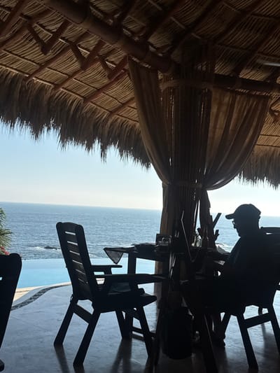 A silhouette of a person wearing a cap is sitting at a table under a thatched roof, overlooking a seascape. The roof's intricate framework is visible. The table is arranged with glasses and miscellaneous objects. Seating including a wooden chair and lounge chair with slats are arranged on the floor.