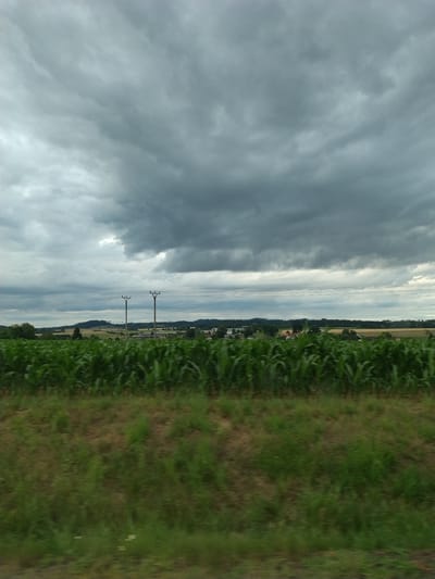 A wide-angle, slightly blurred, exterior shot captures a cloudy day over a rural landscape. The sky is dominated by heavy, dark gray clouds with a few lighter patches. In the mid-ground, a vast field of green corn stalks stretches horizontally across the frame, appearing lush and healthy. Beyond the cornfield, a distant line of trees and rolling hills forms the horizon. A small village or settlement is visible nestled amongst the trees, with houses showing red roofs. Two utility poles with power lines are prominently placed in the mid-ground, to the left of center. The foreground consists of a blurred band of green grass and brown soil, suggesting the photo was taken from a moving vehicle. The overall impression is of a natural, agricultural setting under a dramatic, overcast sky. The specific location is Dražice, Czechia.