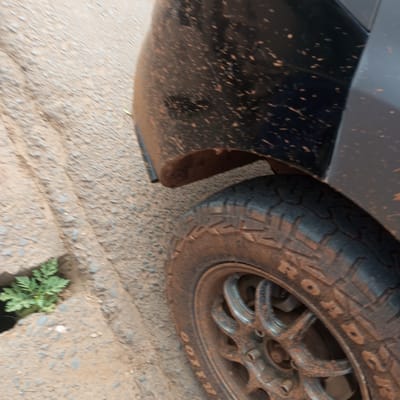 Image depicts the muddy wheel and fender of a vehicle parked on a paved surface with a patch of green vegetation sprouting from a crack in the pavement. The scene is likely located in or near Sheywe ward, Kenya, given the specified location. The vehicle is dark in color and covered in mud splatters. The tire tread is visible and also covered in mud. The pavement has a rough, textured appearance, and the vegetation appears to be a small cluster of weeds. There are no people visible in the image. The overall impression is one of a vehicle that has been driven through muddy conditions.