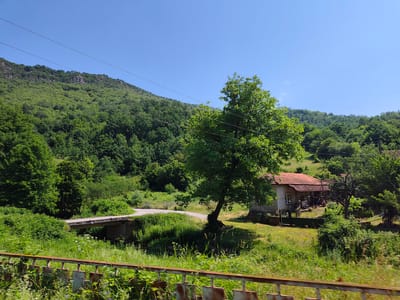 A wide shot captures a rural landscape under a clear blue sky. A low bridge crosses a shallow stream in the foreground, its concrete structure partially obscured by lush green foliage. To the right of the bridge, a small, humble house with a tiled roof sits amidst green grass and trees. A prominent, mature tree with a thick trunk and full canopy stands near the house, casting a shadow on the ground. The background is dominated by a densely forested hillside, its slopes covered in vibrant green trees. The scene suggests a tranquil, bucolic setting. The location is the village of Lesidren, Bulgaria.