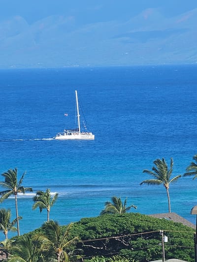 A wide, high-angle, eye-level shot captures a bright, sunny day with a clear blue sky and calm ocean waters. In the distance, hazy mountains form a backdrop. In the mid-ground, a white catamaran, named "TRILOGY III," sails across the water, leaving a white wake. The boat has a single mast with a sail and several people are visible on deck. Closer to the foreground, lush green palm trees and dense foliage cover the land, with the roof of a building peeking out from behind the trees. The scene appears to be in Napili, Hawaii, USA.