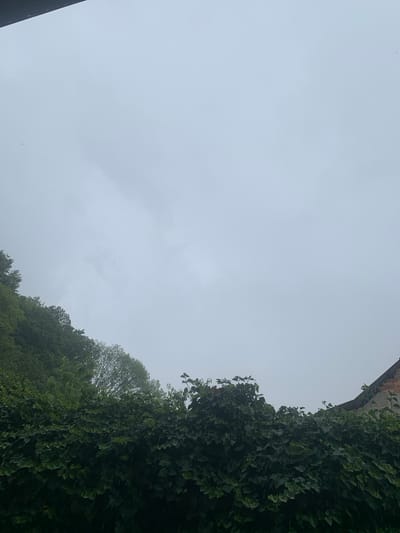 This media file depicts an overcast sky and a lush green hillside covered in trees and ivy. The sky is a uniform light gray, suggesting a cloudy or rainy day, possibly in the late afternoon or early morning. There are no discernible people or man-made objects, other than a hint of a dark structure on the far left edge of the frame. The natural setting is dominant, with the dense foliage of the trees and ivy creating a verdant, somewhat wild landscape. The ivy appears to be growing on a vertical surface, possibly a wall or embankment, indicated by its thick, cascading growth. The overall impression is one of a quiet, natural scene, perhaps on a day with subdued lighting due to the cloud cover. The location context of Khust, Ukraine, might suggest a temperate climate, fitting the description of abundant greenery. There is no visible text in the image.