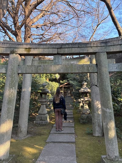 The scene is a pathway leading to a shrine in the city of Minato, Tokyo, Japan. The path is lined with large, gray, weathered, rectangular stone slabs. A young woman with long, straight brown hair is walking away from the camera. She is wearing a dark blue long-sleeved shirt and dark brown corduroy pants. She is carrying a small, black shoulder bag. The path is surrounded by lush green foliage. There are a number of stone lanterns and other stone structures on both sides of the path. A large, wooden structure that appears to be a torii gate is in the foreground. The structure is made of several thick gray pillars that rise from the ground. The pillars are joined together with a series of horizontal beams. The structure is weathered and worn with age. The ground is covered with moss and fallen leaves. The trees are bare. A blue sky is visible in the background. The scene is lit by the sunlight shining through the trees.