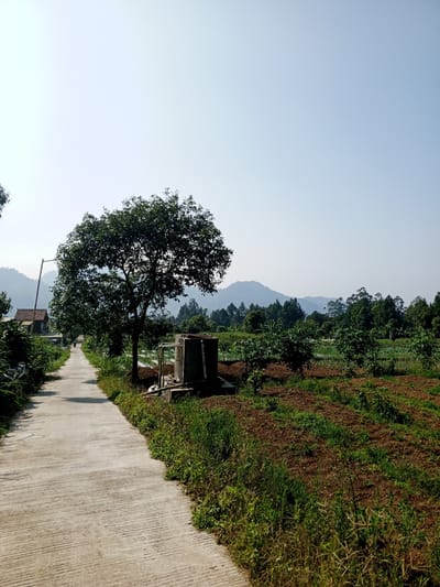 The image shows a rural scene. A concrete road runs from the lower left towards the vanishing point in the center of the image. A mature tree stands to the right of the road. Adjacent to the road is a small structure made of concrete blocks, with pipes and debris around its base. To the right of the road is a field of brown soil and interspersed patches of green vegetation. In the background are forested hills and mountains under a clear sky. The exact location in Ban Katan, Laos cannot be determined with only this image. No people or interactions are directly visible. The scene suggests a peaceful, rural setting.