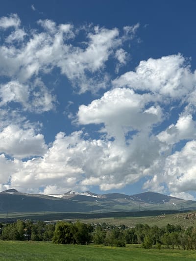 The image captures a panoramic view of the landscape near Sisian, Armenia, on a bright day with a partly cloudy sky. In the foreground, a vibrant green field stretches across the scene, possibly agricultural land. Beyond the field, a dense line of trees forms a verdant border, with some scattered buildings peeking through the foliage. In the mid-ground, rolling hills are visible, some appearing cultivated. Dominating the background are majestic mountains, their peaks dusted with snow, creating a striking contrast against the deep blue sky. The sky is filled with numerous fluffy white clouds, casting shadows and adding depth to the overall scene. The image appears to be taken from a slightly elevated position, offering a wide vista of the natural beauty surrounding Sisian.