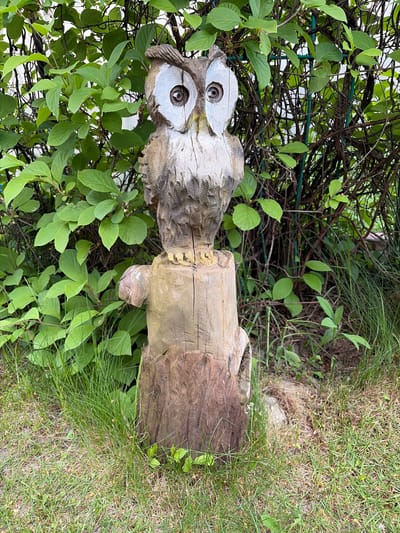A wooden owl statue stands amidst foliage and grass. The statue, which is crafted from carved wood, has painted white markings around its eyes. It is positioned among green plants with broad leaves and tall grasses. The location is in Козенскі сельскі Савет, Belarus.