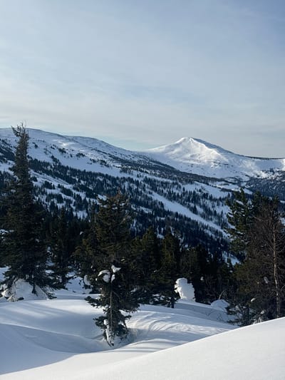 A mountain scene is depicted, featuring a snow-covered peak ascending into a bright sky. The mountain's slopes exhibit alternating bands of snow and dark trees, creating a striped pattern. Evergreen trees, laden with snow, are prominent in the foreground. Sunlight casts shadows and highlights on the snow, emphasizing the texture and contours of the terrain. A large, snow-covered drift occupies the lower right corner.