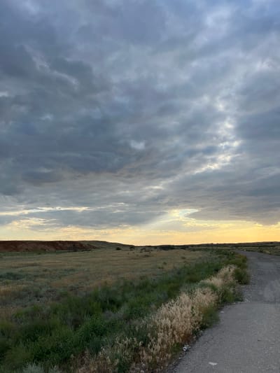 The image depicts a roadside scene in a rural, possibly semi-arid, environment, likely during sunset given the warm, golden light illuminating the sky and casting long shadows. The composition is oriented vertically.
The foreground on the right is dominated by an asphalt road, appearing worn with cracks and some scattered debris, including a discarded plastic cup. Adjacent to the road, to the left, is a grassy verge with patches of dry, golden grass interspersed with vibrant green vegetation. Further left, the terrain slopes downwards, revealing a reddish-brown earth cliff face.
The sky is a dramatic canvas of clouds. Dark, heavy grey clouds occupy the left side of the frame, while the right side is illuminated by the setting sun, creating streaks of bright light that pierce through the cloud cover. The overall atmosphere appears serene and possibly a bit melancholic due to the moody sky.
There are no people or prominent objects besides the road and natural elements. The scene suggests a remote location, perhaps on the outskirts of a village or town, with the vastness of the sky emphasizing the open landscape. The time of day is clearly sunset, and the weather is characterized by a mix of cloudy and clear conditions with the sun breaking through. The presence of a road indicates human infrastructure, but the surrounding landscape is largely natural.