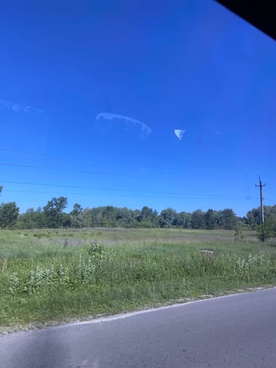 A wide shot captures a bright, clear blue sky dominating the upper portion of the frame, with faint, cloud-like reflections visible. Below the sky, a line of lush green trees forms a dense forest in the middle ground. In front of the trees, a field of tall, green grass stretches across the landscape. A grey asphalt road runs along the bottom edge of the image. A utility pole with wires is visible on the right side of the frame, set against the tree line. The overall scene appears to be a rural or semi-rural landscape in Pukhivka, Ukraine, on a sunny day. There are no people or animals visible in the image.