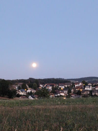 This is a vertical, full shot of the town of St. Peter, Germany, under a twilight sky with a bright full moon. The foreground is dominated by a field of tall, dry grass with a few stray wildflowers. Behind the field, the roofs of houses are visible, nestled on a hillside. The houses are of various sizes and colors, with some displaying lit windows. A dark line of trees separates the houses from the background hills. The moon is a prominent, luminous orb in the upper left quadrant of the sky, casting a soft glow. The overall scene evokes a peaceful evening in a rural German town.