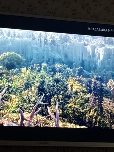 The image shows a TV screen displaying a scene of a mountainous landscape with lush green trees and some bare branches. The screen also displays the word "КРАСАВИЦА И ЧУ" on the left side. The TV is branded "HYUNDAI". There is no indication of Nevzorovo, Russia, or any people in the scene.