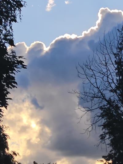 This media file is a photograph of the sky with clouds, framed by silhouetted trees on the left and right edges. The sky is a mix of blue and gray hues, with dramatic clouds that are brightly illuminated from behind by the sun. This illumination creates a radiant, almost ethereal glow along the edges of the clouds, particularly in the upper portion of the frame.

The clouds themselves are varied in texture and density. Some appear soft and wispy, while others are more substantial and dark, suggesting varying atmospheric conditions. The sun's light is strong enough to pierce through some of the clouds, creating areas of bright, golden light, especially in the lower left quadrant.

The trees in silhouette frame the sky, with dark leaves visible on the left and a more skeletal, bare branches of a tree on the right. These elements add depth and contrast to the image, emphasizing the expansive nature of the sky.

The presence of the sun's intense backlighting suggests that it is either sunrise or sunset, indicating either early morning or late evening. The lighting and cloud formations create a dynamic and somewhat dramatic natural scene. There are no people or objects visible other than the natural elements. There is no visible text in the image. The location context of Rodniki, Russia, provides a geographical setting for this natural phenomenon. The overall mood is one of awe and natural beauty, with a touch of drama.