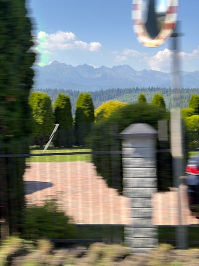 This media file captures a blurred, vertical view of a natural landscape, possibly in Bukowina Tatrzańska, Poland. The scene is dominated by a dense forest of coniferous trees, with their tops forming a dark green line across the lower portion of the image. Above the forest, the sky is a bright blue, punctuated by a large, white cloud. In the distance, hazy, light blue mountains rise, their peaks softened by the atmospheric perspective.
On the right side of the image, a paved area with a brick-like pattern is visible, suggesting a pathway or patio. This area is bordered by a strip of green grass and then more dark green vegetation, possibly more trees or bushes.
A striking element in the upper left is a circular object with red and white stripes, which appears to be a reflective marker or a barrier, possibly along a road or pathway. The blurriness throughout the image suggests motion, either of the camera or the subjects within the scene, and the bright sky hints at daylight. There is no discernible text or identifiable people. The overall impression is one of a natural, outdoor setting during a clear day.