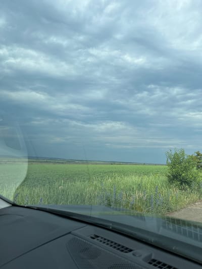 A wide-angle, eye-level photograph captured from inside a vehicle depicts a rural landscape under an overcast sky. The upper two-thirds of the image are dominated by a dense, grey cloud cover, indicating heavy cloud conditions. A distant horizon line reveals a flat expanse of land, characteristic of agricultural regions, with a faint, darker green band suggesting distant vegetation or land features.
The midground is filled with vibrant green fields, likely cultivated crops, stretching broadly across the frame. In the immediate foreground, outside the vehicle, a strip of unmanaged green grass and weeds runs parallel to the viewer's position. This strip contains multiple clusters of purple-blue wildflowers with spike-like blooms. To the far right, a small, leafy green bush stands adjacent to what appears to be an unpaved road or dirt track.
The lower quarter of the image displays the dark-colored dashboard of a vehicle, including textured surfaces and air vents. Reflections from the vehicle's interior, possibly a pillar or window frame, are visible on the windshield, particularly on the left side. No individuals or specific activities are observable within the scene. The depicted location is a rural area in Novolativka, Ukraine.