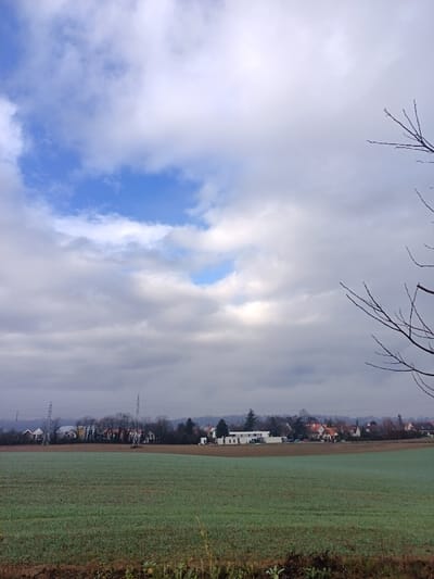 The image displays an outdoor landscape located in Niederhausbergen, France. The foreground consists of an agricultural field cultivated with short, green crops, interspersed with patches of visible brown soil and sparse dry vegetation along the bottom edge. In the midground, a distant settlement, identified as Niederhausbergen, is visible, comprising various residential structures with a mix of red-tiled and dark-roofed buildings. A notable modern white building with a flat roof is situated towards the center-right within this settlement. A line of bare deciduous trees runs horizontally across the midground, separating the field from the structures. Several tall, metallic lattice electricity pylons are prominent on the left side of the midground, accompanied by visible power lines. The sky occupies the upper two-thirds of the frame and is predominantly covered by extensive white and grey clouds, with multiple patches of clear blue sky visible, most prominently in the upper-left quadrant. Bare tree branches extend into the frame from the upper-right, partially obscuring the sky. No individuals, vehicles, or specific activities are observable within the scene.