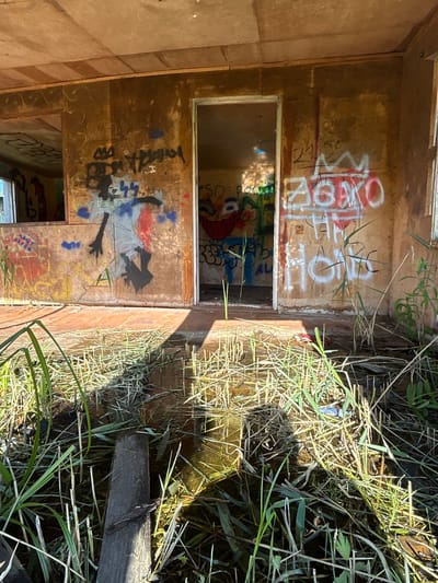 The image depicts the interior of a dilapidated, abandoned building, likely a structure within the city of Slava SNT, Russia. The walls are covered in graffiti, with various tags and images spray-painted in an array of colors. One prominent graffiti piece appears to be a stylized figure in blue and red. Another section shows white spray paint spelling out words like "ABHO" and "HONG". The floor is partially submerged in murky water, with reeds and other vegetation growing through the water and across the floor. A wooden plank lies horizontally in the foreground, partially submerged. Sunlight streams in from an opening, casting shadows and illuminating dust particles in the air. The overall scene conveys a sense of decay and neglect.