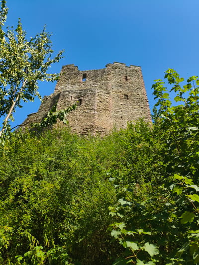 The image shows a low-angle view of a ruined stone tower against a bright blue sky. The tower is made of rough-hewn stones, with visible gaps and remnants of battlements at the top. There are small rectangular openings on the face of the tower, suggesting windows or arrow slits. The tower is partially obscured by lush green foliage, with trees and bushes in the foreground and surrounding the structure. The sunlight illuminates the scene, casting shadows and highlighting the textures of the stone and leaves. This appears to be Ludlow Castle, a historic ruin in Ludlow, United Kingdom, known for its partially intact fortifications and extensive grounds.