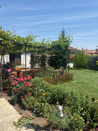 An overhead view captures a sunlit residential garden in Straldzha, Bulgaria, under a clear blue sky marked by multiple white aircraft contrails. In the foreground, a concrete path edge borders a vibrant garden bed containing numerous rose bushes with red, pink, and white blooms, interspersed with various green foliage plants. A small brown pot sits atop a black pole, and a light-colored garden gnome is partially obscured by vegetation on the right. A low wooden picket fence section separates the immediate garden bed from a well-maintained green lawn that extends into the mid-ground.
A dark-colored metal pergola, heavily draped with green grapevines, occupies the left-to-center mid-ground. String lights with clear bulbs are suspended beneath its canopy. Underneath the pergola, a polished wooden table with benches provides a seating area. Directly behind the pergola, a white-painted building with a dark-framed window is visible. To the right of the pergola, a tall evergreen tree stands, followed by a deciduous tree with green leaves.
The background features additional residential buildings with characteristic terracotta tiled roofs and chimneys. Utility lines are faintly discernible against the sky above these structures. A partial wooden fence or screen marks the boundary of the property on the right side of the image. No individuals or active subjects are present. The scene is illuminated by strong natural sunlight.