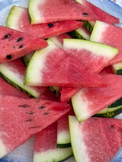 The image displays a close-up, overhead view of several watermelon slices arranged in a blue and white patterned bowl. The slices are predominantly red with some exhibiting white and green rind. The texture of the watermelon flesh is visible, and some slices contain black seeds. The scene is a food-related still life, likely taken indoors due to the lighting. There are no people or animals visible in the image. The location of the Municipal Unit of Lefkada, Greece is not discernible from the visual information provided in the image.