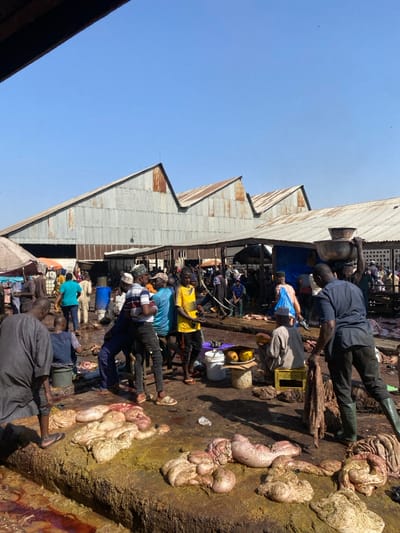 The image displays an outdoor meat market in Kofar Mazugal, Nigeria, under a clear blue sky. The foreground features a raised, earthen platform covered with numerous large masses of animal offal, including intestines and stomachs, resting on a soiled, reddish-brown and yellowish-green stained surface. The ground surrounding the platform is uneven, muddy, and similarly discolored.
Multiple individuals are present throughout the scene, engaging in various market activities. In the immediate foreground, a man in a dark grey kaftan and sandals stands partially visible, leaning over the offal-laden platform. Centrally, a group of men is gathered; one wears a white and dark striped shirt with a white cap, another a yellow t-shirt. To the right, a man in a dark blue shirt and dark pants, wearing green rubber boots, stands with his back partially to the camera, appearing to handle items on the ground. Further back and to the right, a person carries a stack of metal bowls on their head. Numerous other individuals are visible in the background, clustered around what appears to be active processing areas.
Market objects include a white plastic bucket, a blue plastic barrel, a yellow plastic crate, and two yellow-orange fruits placed on a small stand. In the background, multiple large structures with corrugated metal, saw-tooth roofs, exhibiting visible rust and wear, define the market area. Smaller stalls with corrugated metal awnings and blue tarpaulins are also present, contributing to the busy market environment.