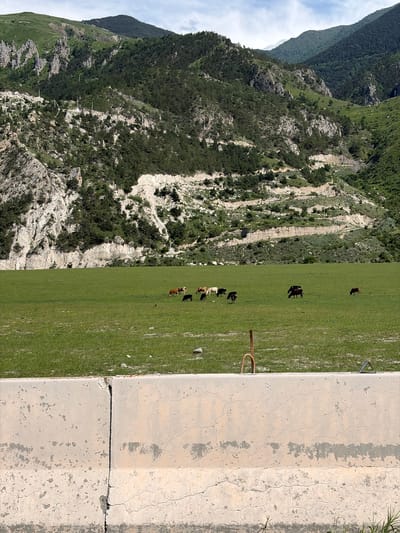 The image depicts a pastoral scene in Nizhnyaya Unal, Russia. In the foreground, a cracked concrete barrier runs horizontally across the frame. Behind the barrier, a vast, vibrant green meadow stretches towards a majestic mountain range. The mountains are densely covered with dark green coniferous trees, interspersed with rocky outcrops and patches of lighter green vegetation. A winding road is visible ascending the mountainside, marked by utility poles. In the middle ground of the meadow, a small herd of cattle grazes peacefully. The sky above is a mix of white clouds and patches of blue.