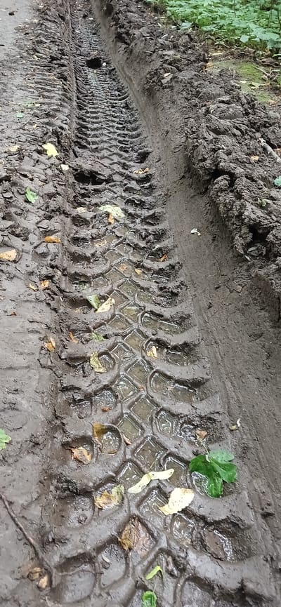 The image depicts a close-up, side-view of a tire track in wet, dark mud. The track is deeply impressed into the ground, with visible tread patterns that are partially filled with water and scattered with fallen leaves. The leaves are a mix of green and brown, suggesting it might be autumn or after a rainfall.

The scene is set outdoors, likely in a natural or semi-natural environment such as a forest path or a rural track, given the presence of mud and foliage. Green leaves and other plant matter are visible along the upper left edge of the image, providing context for the outdoor setting. The lighting appears overcast, consistent with a cloudy day or perhaps early morning or late afternoon, as there are no harsh shadows.

The tire track itself is the primary subject, showing the distinct, repeating pattern left by a vehicle's tire. The water pooling in the indentations creates a reflective surface, highlighting the texture of the mud and the tire's design. The overall impression is one of recent vehicular activity on a wet, muddy surface. No people are visible in the image. No text is present. The location is identified as Lisovi Hrynivtsi, Ukraine.