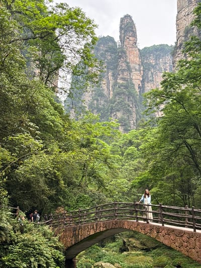 A photograph captures a scenic landscape in Luoguta, China, featuring towering rock formations in the background, shrouded in mist. Lush greenery dominates the foreground, framing a winding bridge made of faux wood logs with a rusty brown metal rail. A woman is standing on the bridge with a light denim jacket and a white dress. Further down, a group of people is gathered. The sky is overcast, which illuminates the scene.